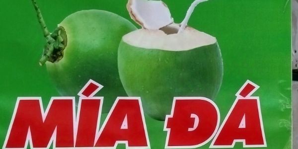 Dừa Xiêm & Mía Đá - Lê Thanh Nghị