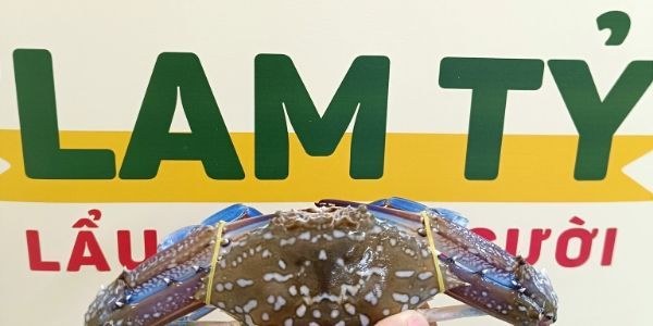 Lam Tỷ - Lẩu Ghẹ 1 Người