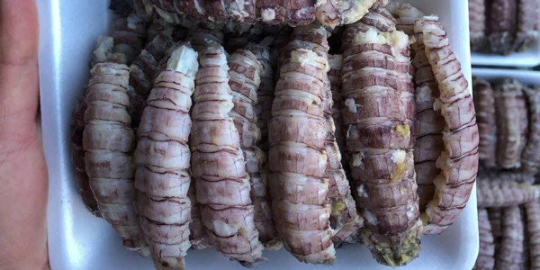 Hika Cafe - Cà Phê, Sữa Chua & Matcha - 95C Khâm Thiên