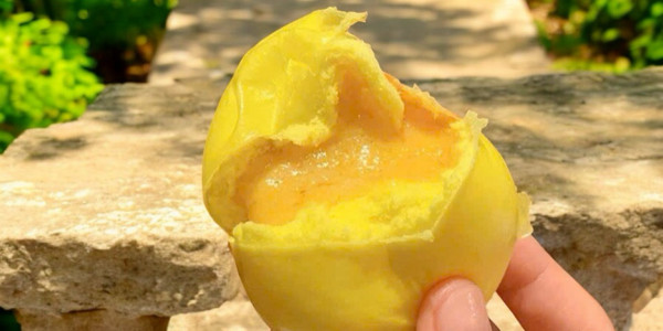 Tiểu Long Bảo Chân Vị - Ẩm Thực Trung Hoa - Đồng Lễ