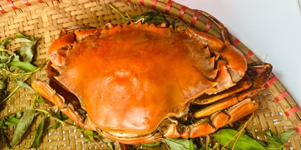 Cua Hoàng Gia - Trần Quốc Toản