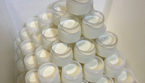 Sữa Chua - Thương Thương - Trần Xuân Độ