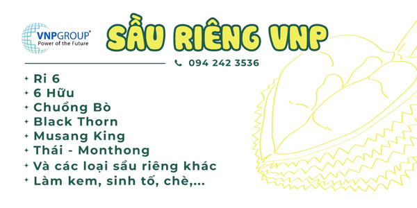 Sầu Riêng VNP