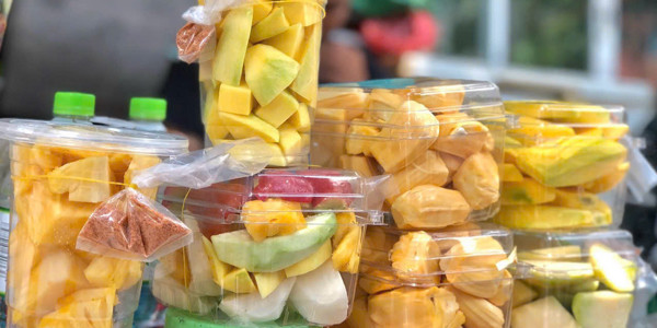 Cây Bồ Đề - Trái Cây Dầm - Mạc Đĩnh Chi