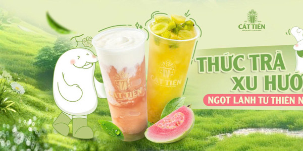 Trà Bí Đao Cát Tiên - 19 Triều Khúc