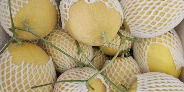 Quán Thức Uống Đá Quý