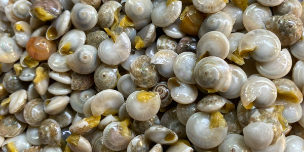 Ốc Ruốc - Ăn Vặt Hóc Môn