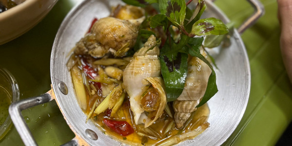 Ốc Gạo - 66A Lê Lợi