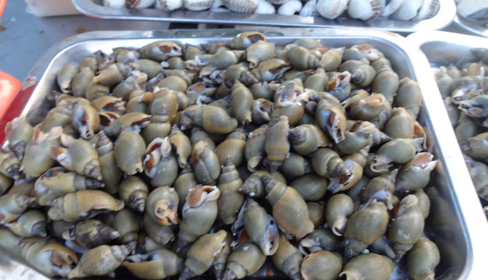 Ốc Quyên - Cổng Bến Xe Bắc