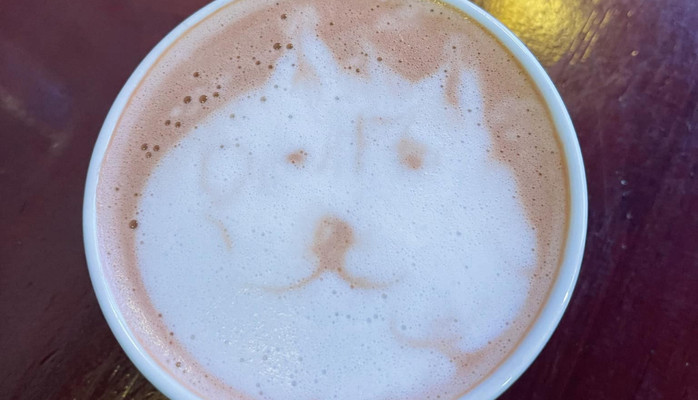 V Cup Coffee House - Cà Phê - Phùng Chí Kiên