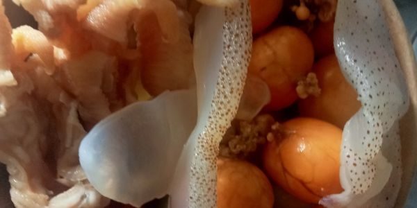 Chân Gà Gia Bảo - Đường Số 1