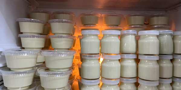 Song Nhi - Pudding Đậu Nành (Tàu Hủ Lá Dứa) - Ba Tháng Hai