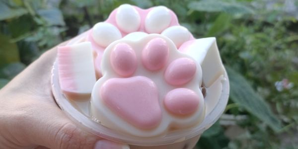 Trà Sữa Mèo Con - Cách Mạng Tháng Tám