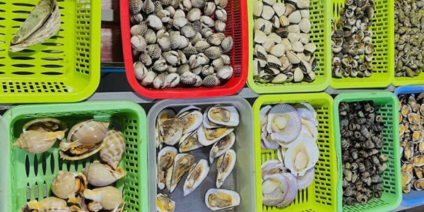 Ốc 86 Làng Đại Học
