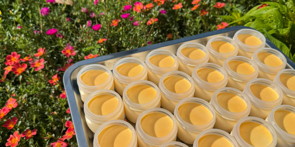Gánh Hàng Rong - Tàu Hủ, Panna Cotta & Sữa Chua