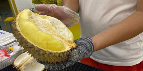 Chè Sầu Riêng Sky - 32 Núi Thành