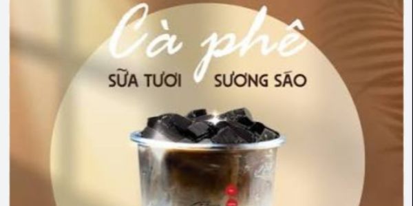 SỮA DỪA SƯƠNG SÁO GIA PHÁT - 09 Nguyễn Chí Thanh