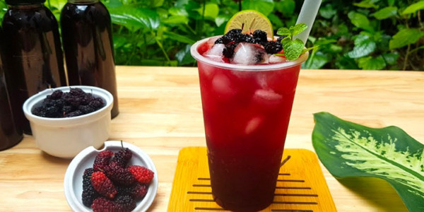 Bơ Bé Bò - Bơ Già Dừa Non - 139 Nguyễn Hội