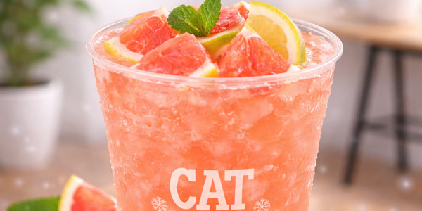 Cat Tea & Coffee - Ngô Quyền