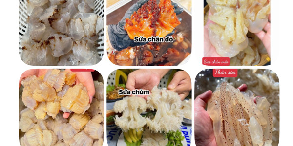 Chân Gà Sốt Thái - Em Út