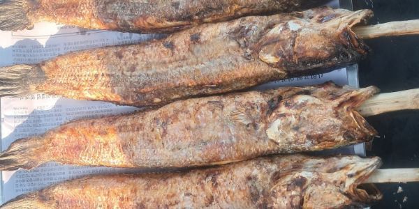 Cá Lóc Nướng Rau Rừng - HOÀNG OANH