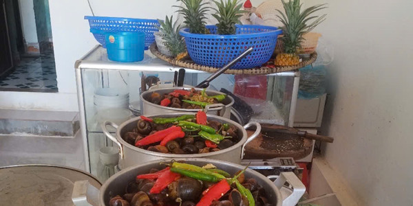 Hoa Tuyết - Quán Ốc - Ngã 3 Công Viên Cộn
