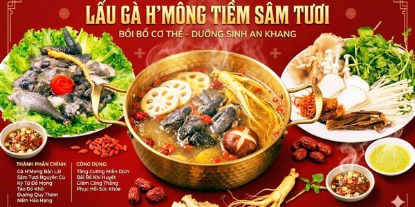Lẩu Gà Tiềm Sâm (Sâm Thật) & Lẩu Thái TomYum - An Thảo