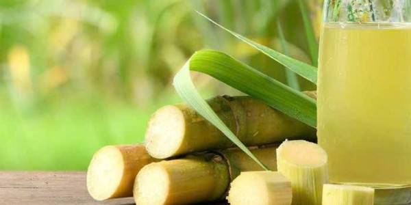 Nước Mía & Nước Ép 21