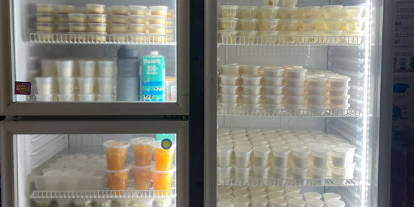 Sữa Chua - Ngô Mây