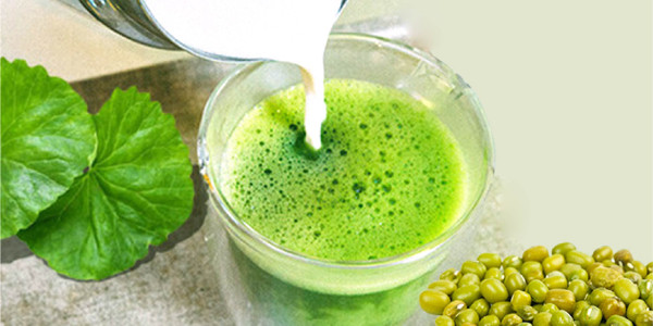 AMI COFFEE - TRÀ, MATCHA & YOGURT