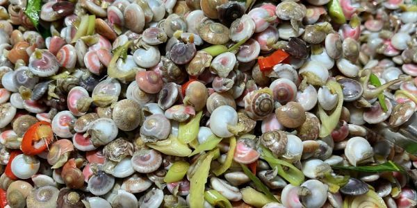 Ốc Bình - Lý Thường Kiệt