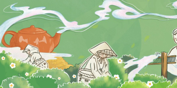 Maiden Cha Hải Phòng - Dệt Mây Làm Trà