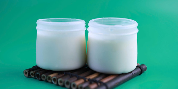 Sữa Chua Phô Mai Ăn Vặt Đêm - Tầm Vu