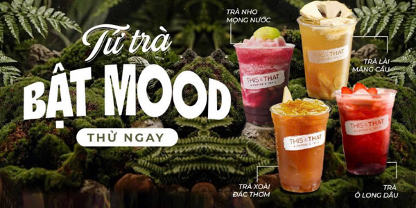 This & That Coffee And Tea - Tạ Quang Bửu