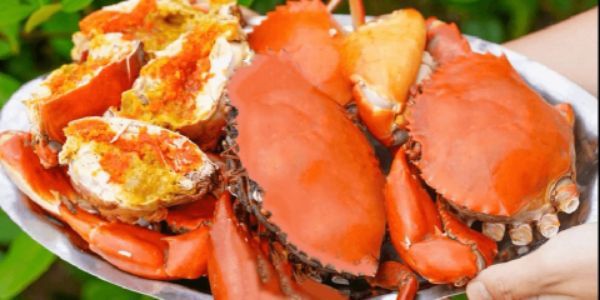 Hàu Nướng, Mực Nướng & Hải Sản Nướng - Đình Thôn