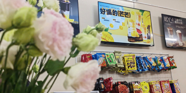 Panda - Milk Tea - 173 Đà Nẵng