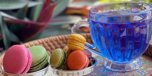Pas’sion Fruit Tea - Trà Hoa Quả - Mai Anh Tuấn