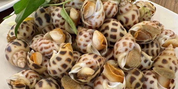 Quán Ốc Chung Cư - Trường Sa
