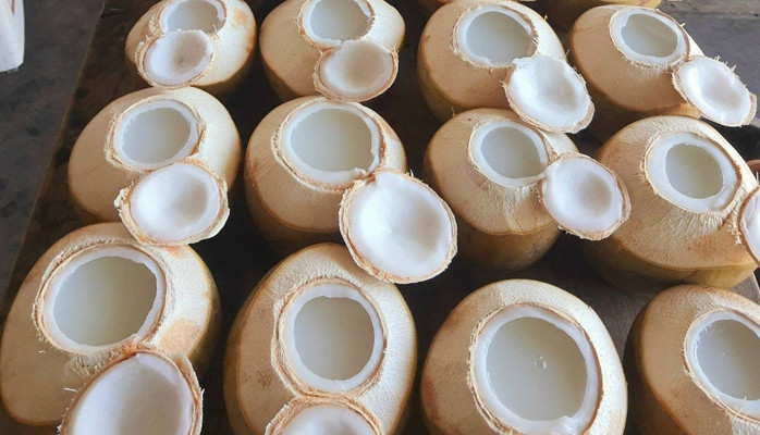 Siêu Thị Dừa - Nước Dừa Trân Châu Dừa & Thạch Dừa - 154 Nguyễn Du