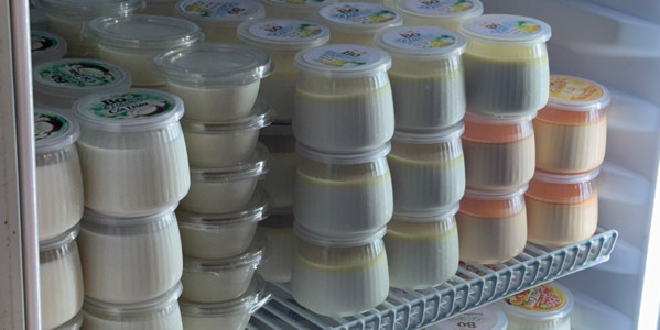 BO SỮA CHUA & PANNACOTTA