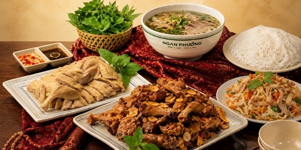 NGAN PHƯỢNG - 132 VŨ PHẠM HÀM