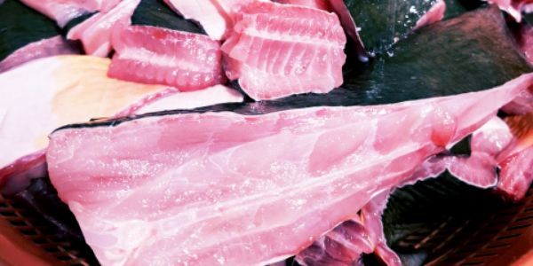 LẨU CÁ ĐUỐI ANH CHỊ ÚT