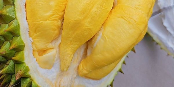 Trái Cây Nông Sản Lê Kiều