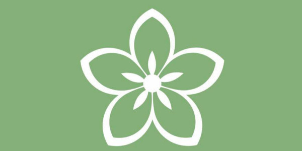 Bông Trà - Phú Lợi