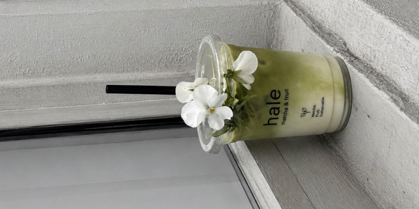 HaLe - Matcha & Fruit - Đặng Văn Ngữ