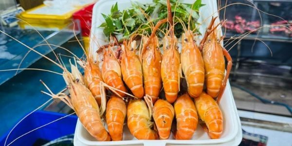 Thế Giới Tôm Càng - CN Quang Trung