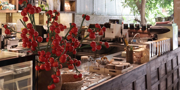 Tĩnh Trà - Cafe