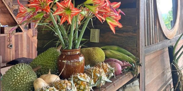 CAFE & NƯỚC ÉP HỒNG ANH - (Quán Song Nhi Cũ) - Nguyễn Bình
