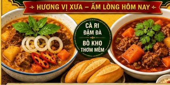 Cà Ri - Bò Kho Xưa - TL10