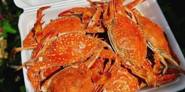Hải Sản Tùng Phượng - Bình Chuẩn